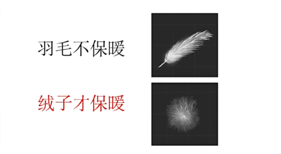 图片7-csso.png
