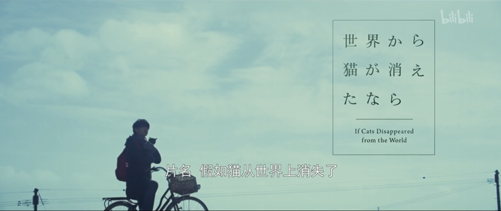 《假如猫从世界上消失了》摘录
