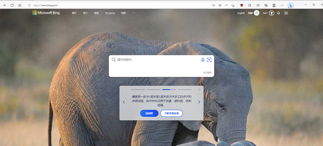 New Bing